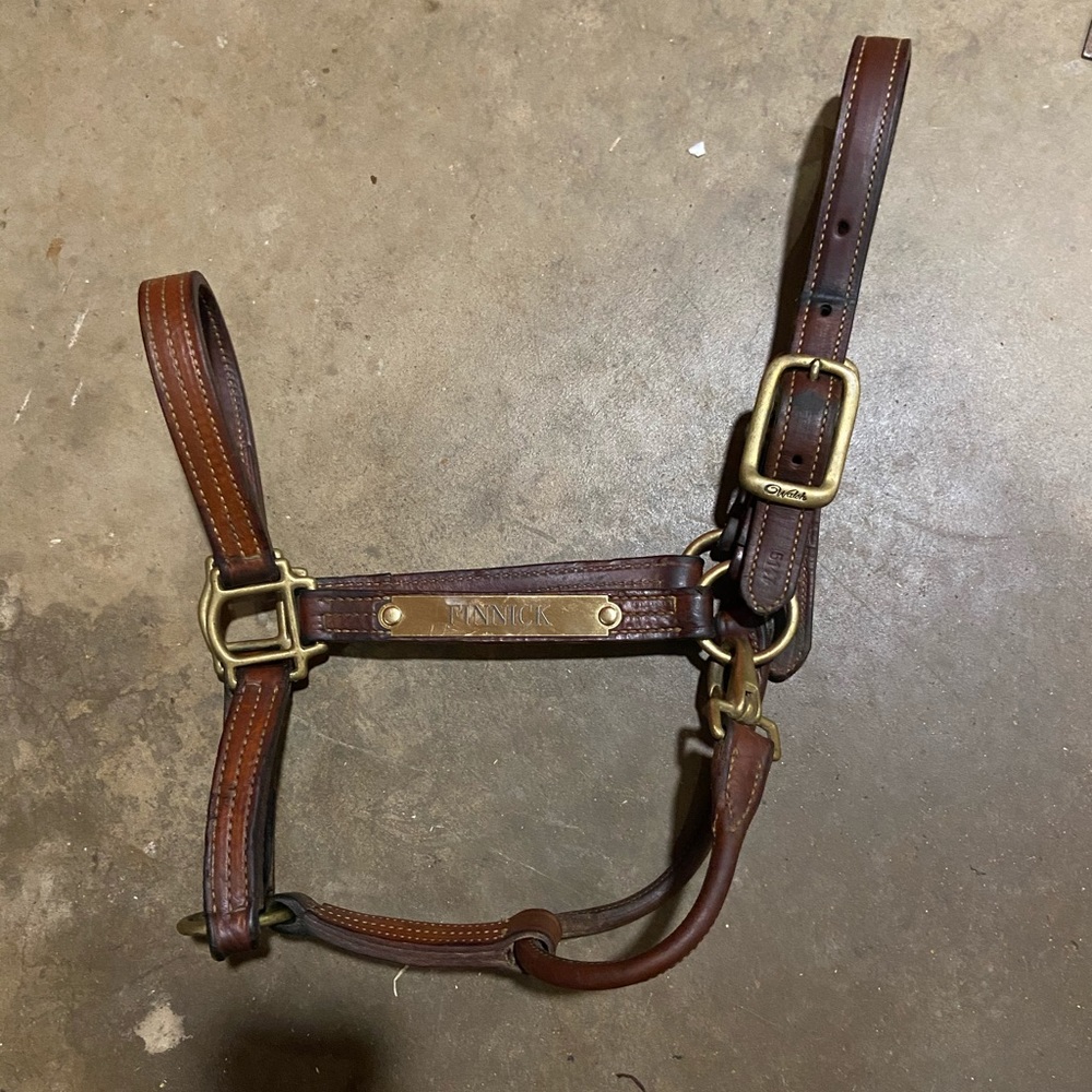 Walsh Triple Stitch British Halter